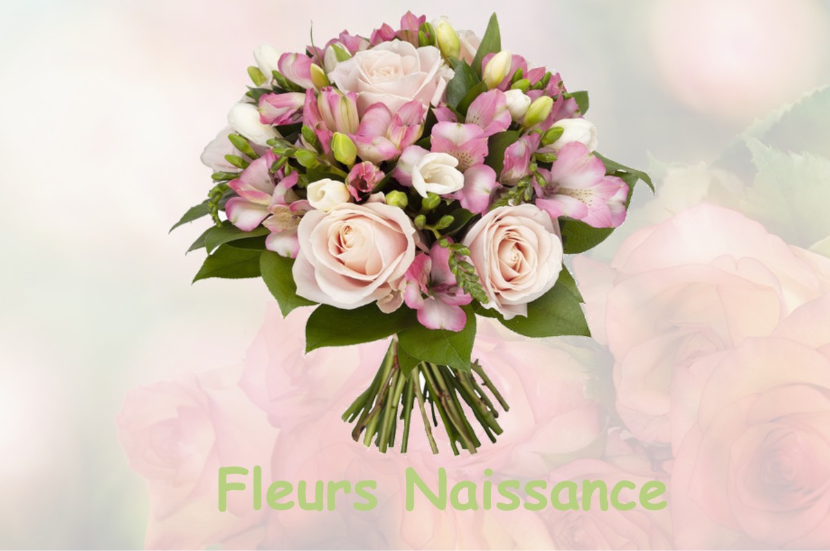 fleurs naissance LA-HOUSSAYE-BERANGER